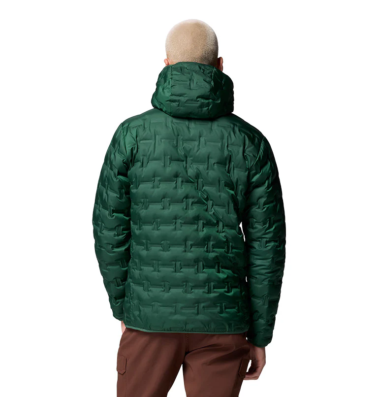 Men's Delta Ridge II Down Hooded Jacket - Image 2